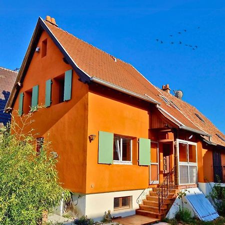 Beau Logement Au Centre D'Alsace Epfig Exterior foto